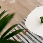 Odiseja Appartement