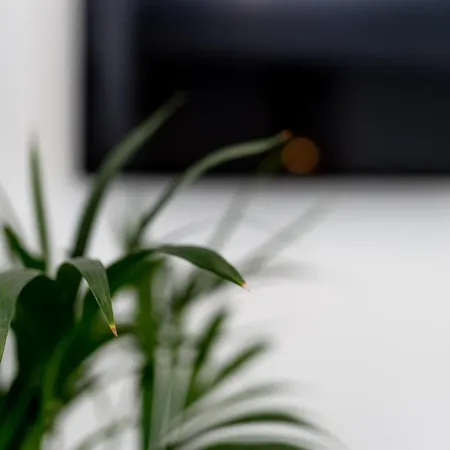 Apartment Odiseja Zadar