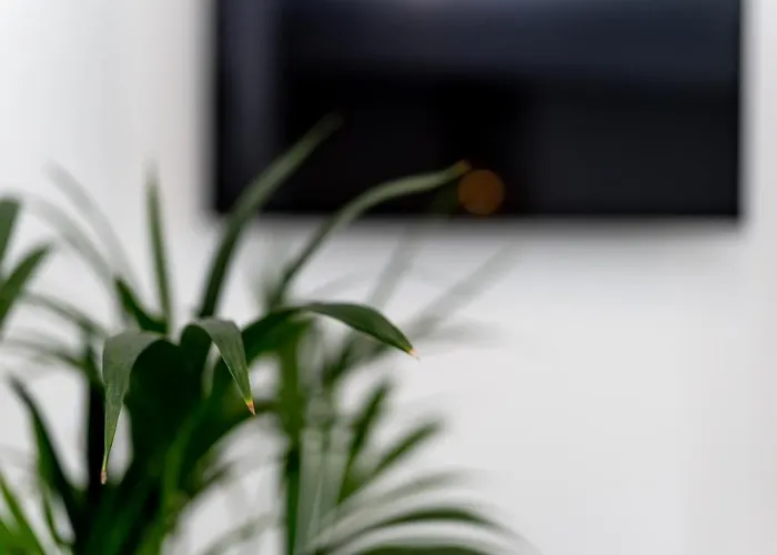 דירה Odiseja זאדאר